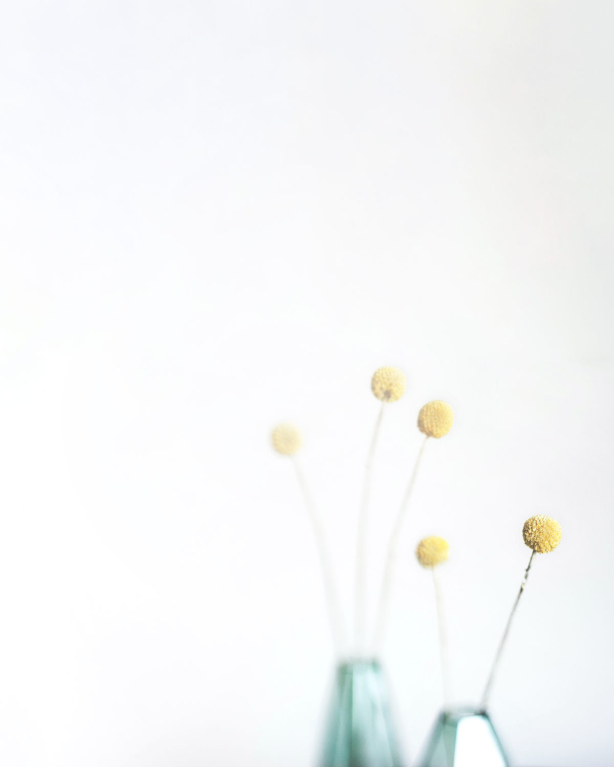 Menopause empowerment coaching